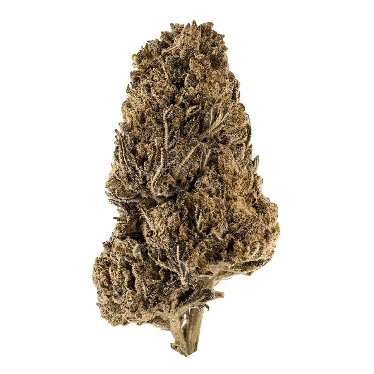 Fire Gold 30/1 LED Lemon Diesel
