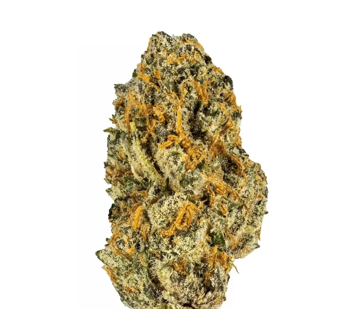 THC AKUT MG 28 BCP - Black Cherry Punch