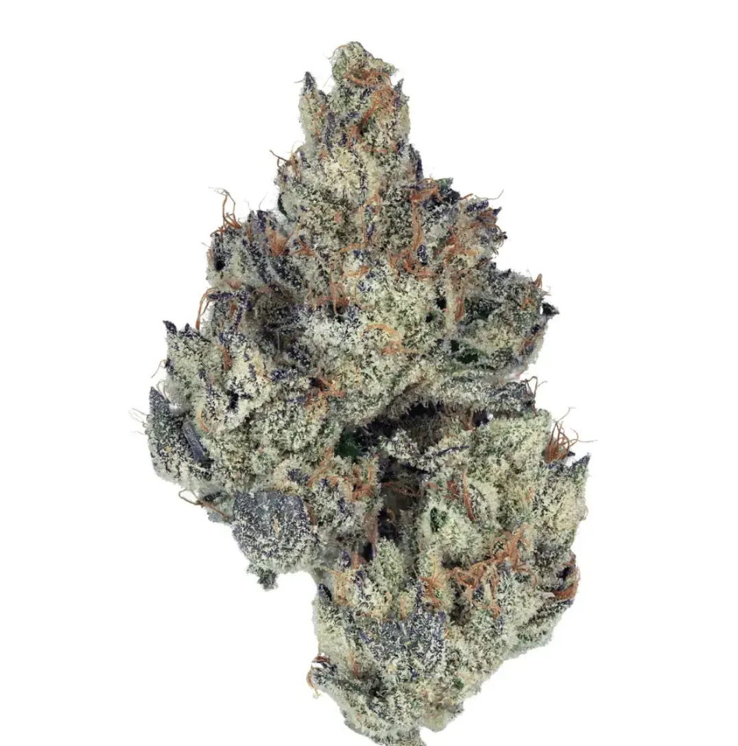 Craft Botanics 30/1: White Runtz