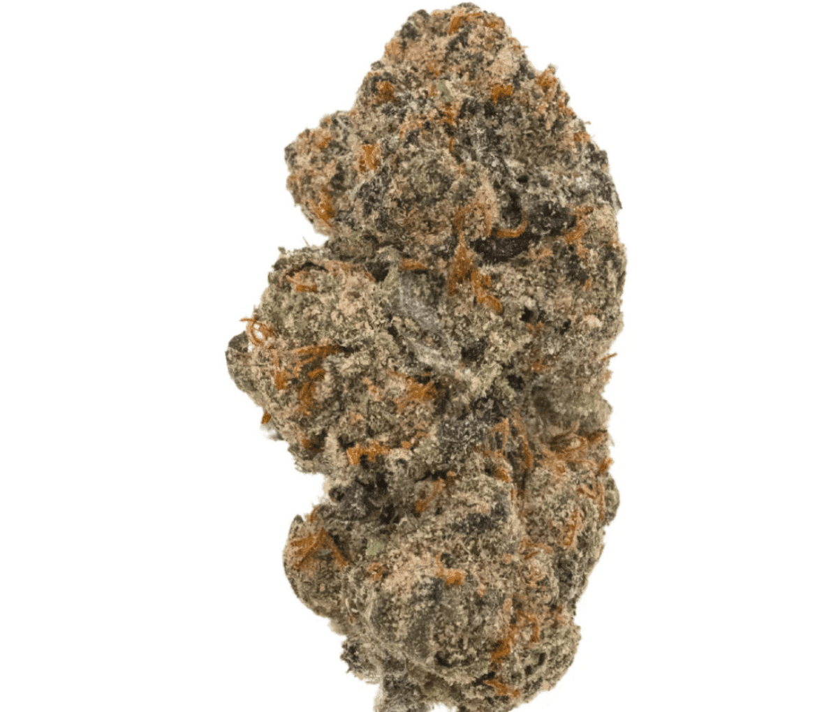 187 Cannabisflower PPP THC22 - Phantasia Purp