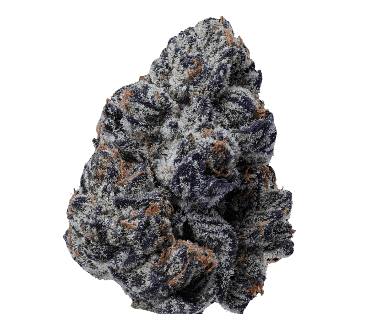 20/1 IUVO Killer Cupcake 20/1 IUVO Killer Cupcake