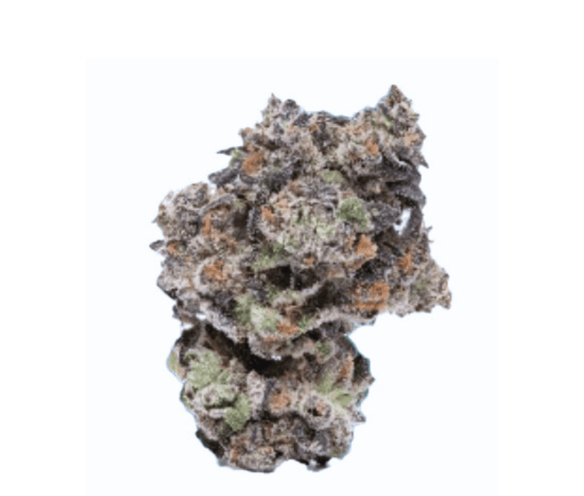 Cookies - Medizinalcannabisblüten 22/1 Hawaiian Rain
