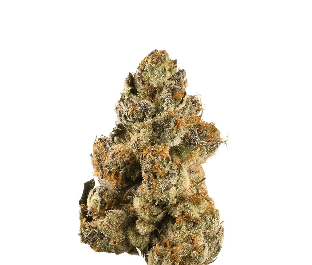 Demecan Craft Electron 31:01 - Gelato OG Kush Demecan Craft Electron 31:01 - Gelato OG Kush