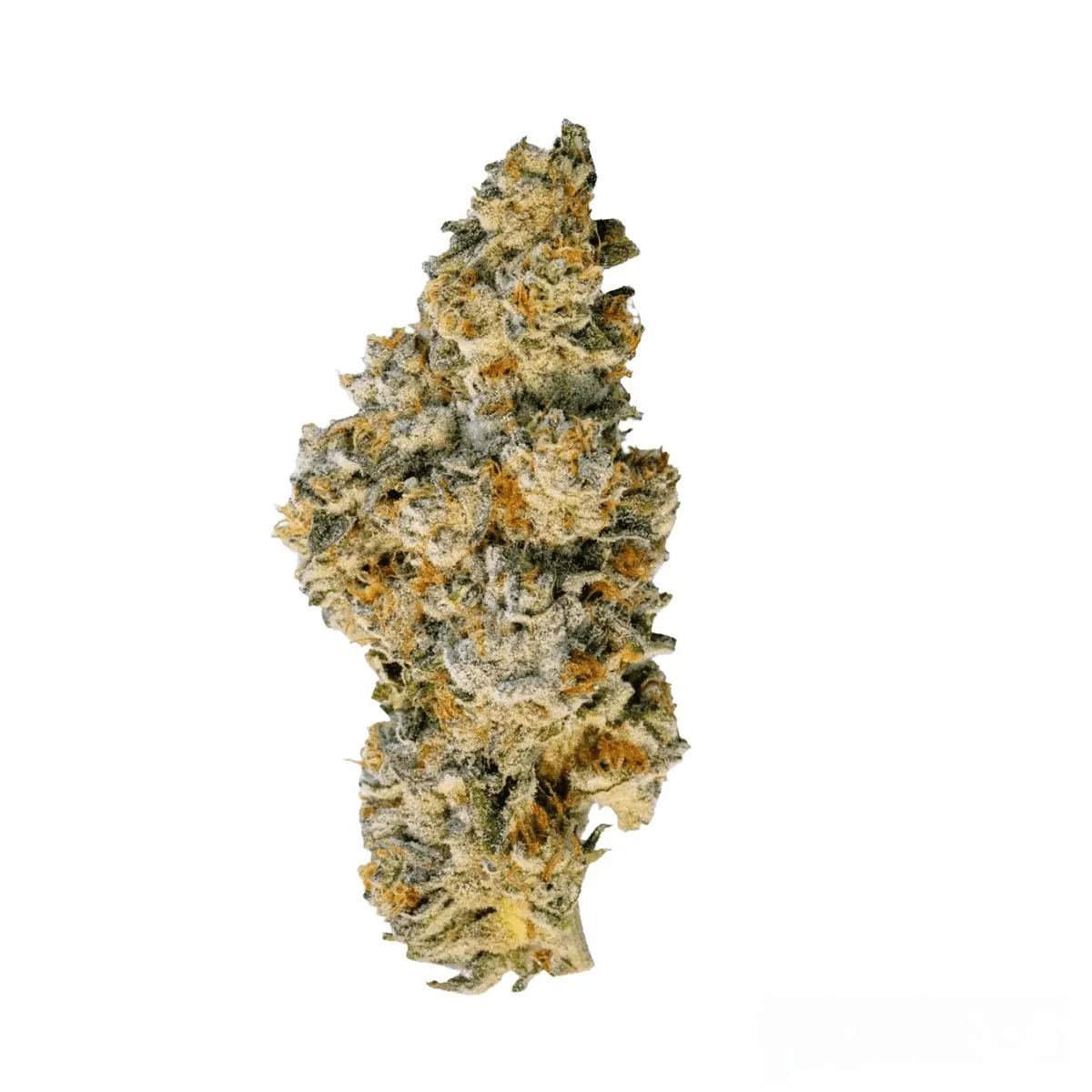 Demecan Craft Aloha 31/1 - 98ALOHA WHITE WIDOW X TRAINWRECK