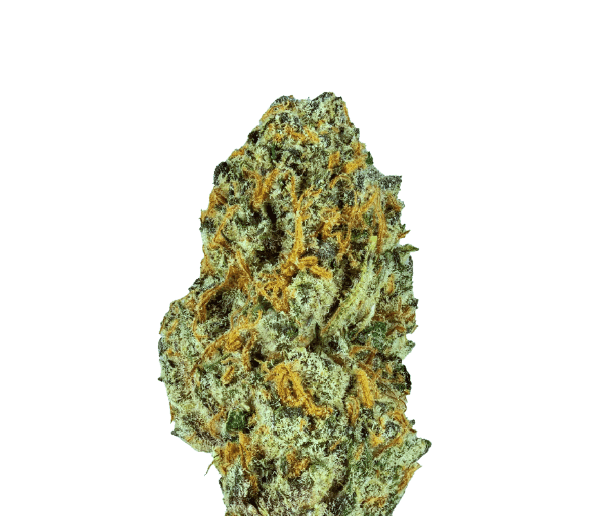 Mediprocan 30/1 BCP Black Cherry Punch
