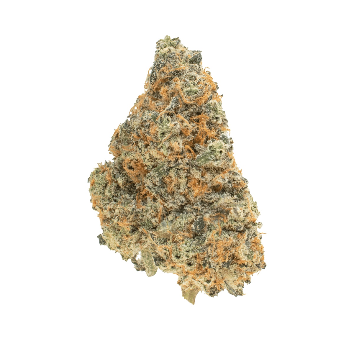 CRQSH JBY 25/1 Jellyberry