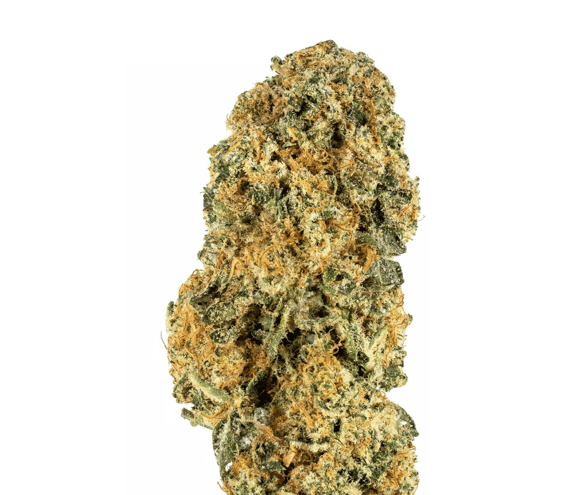 Remexian 36/1 HMA LPP - Lemon Pepper Punch Remexian 36/1 HMA LPP - Lemon Pepper Punch