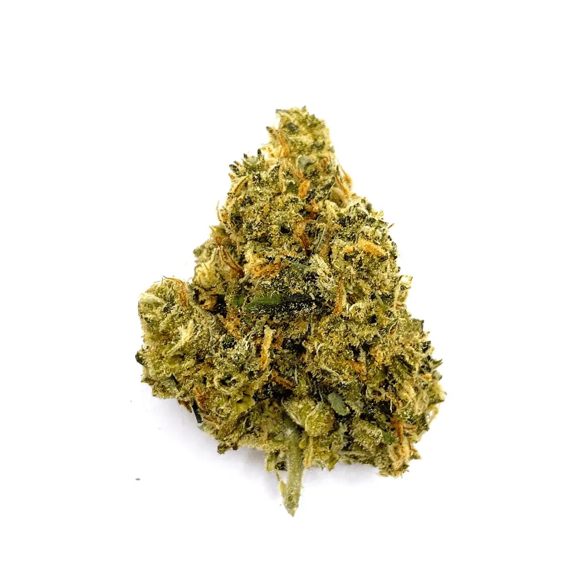 Bedrocan - Jack Herer, Afina Bedrocan - Jack Herer, Afina