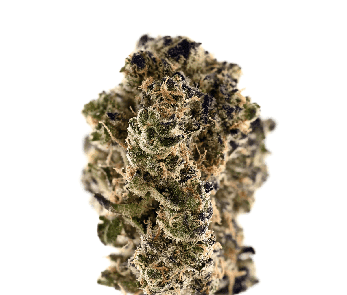 Demecan Craft Emerald 27:01 - GMO X Gush Mints