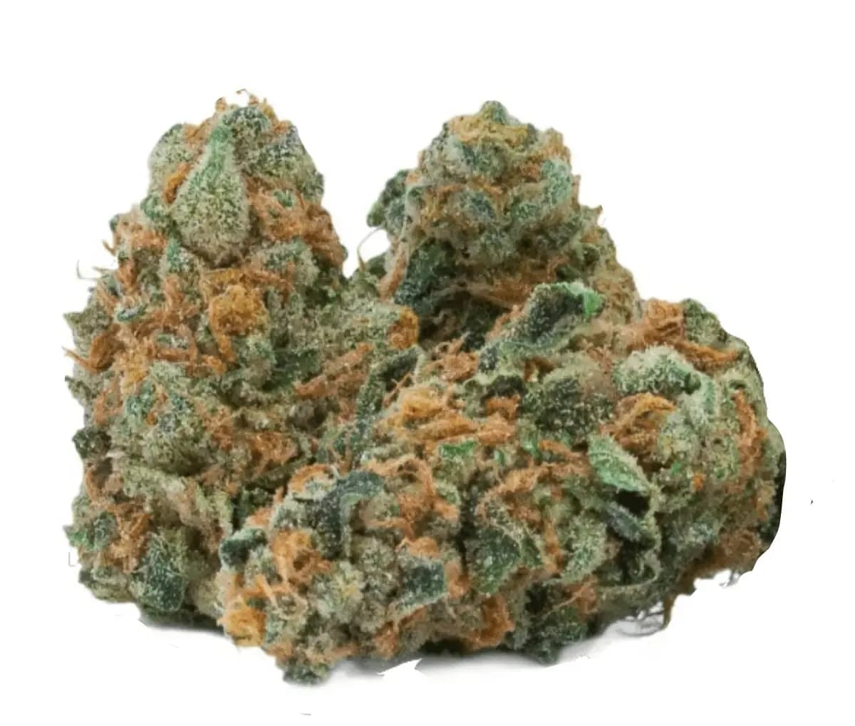 GMO Cookies [Peace Naturals 29/1 GC] 