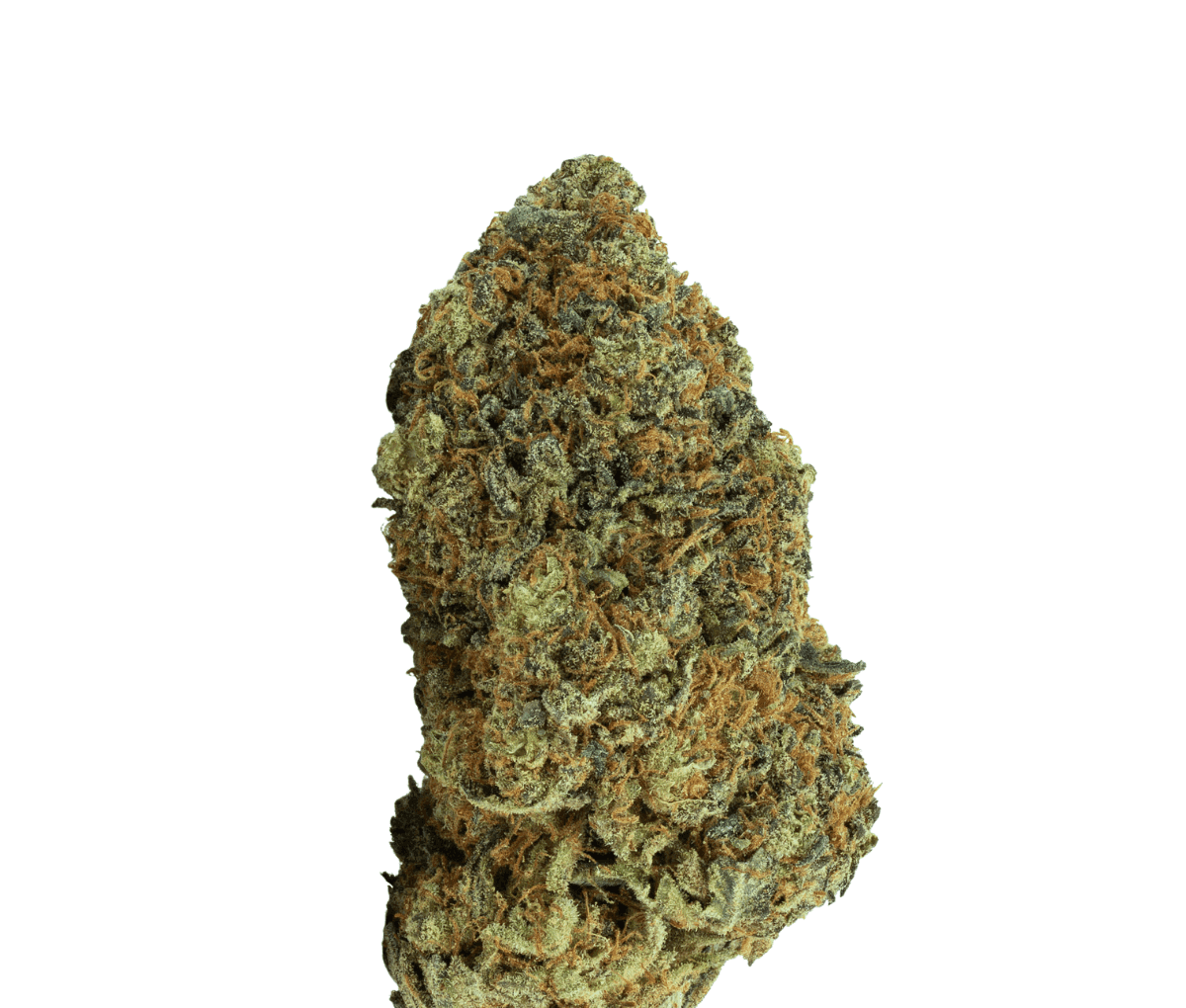 Demecan Craft Vert 25/1 Blueberry Cookies