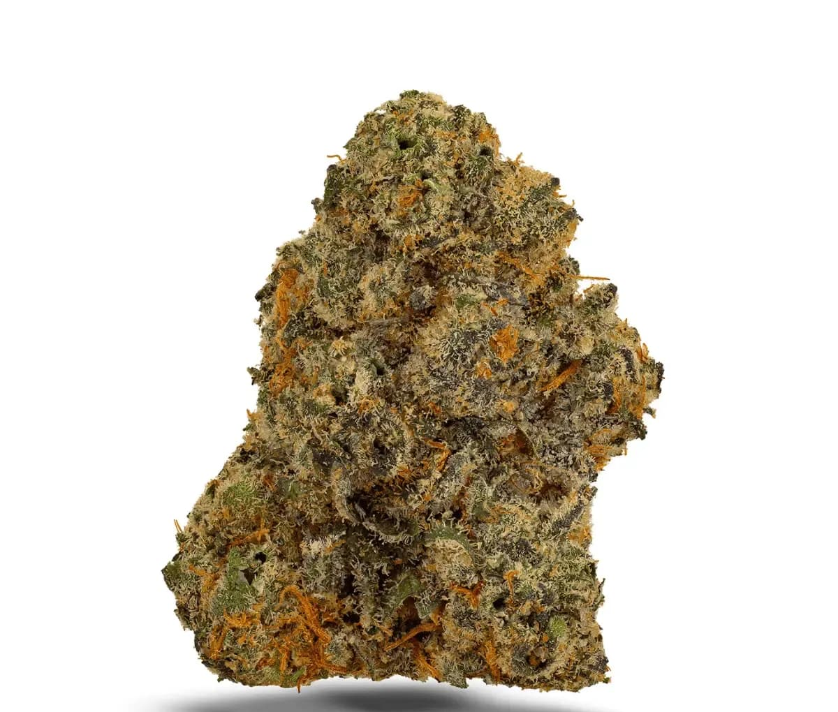 Bathera 25/1 - Permanent Marker