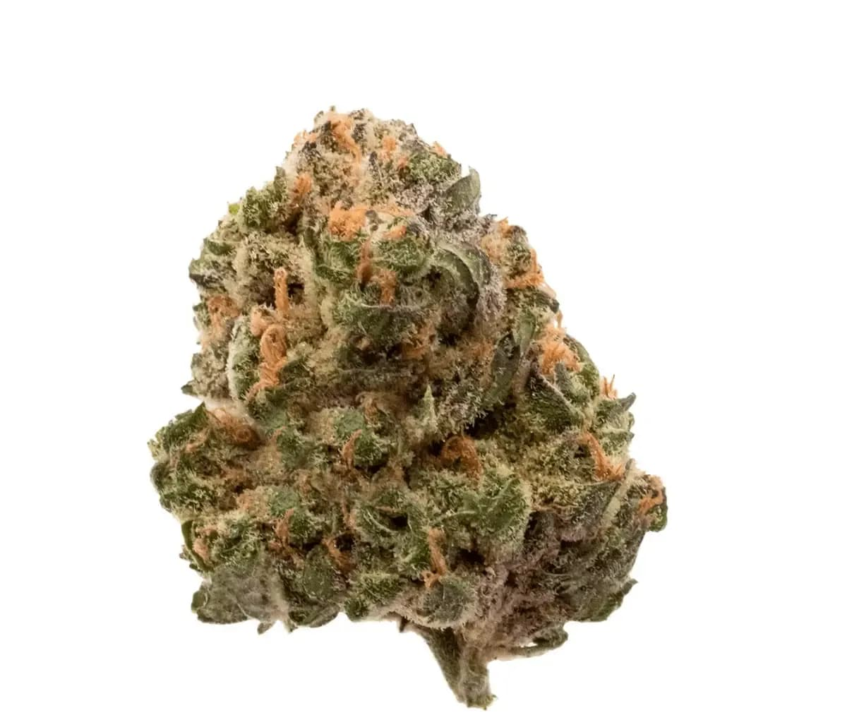 J.R. Strain GT 30/1 - Garlic Truffle