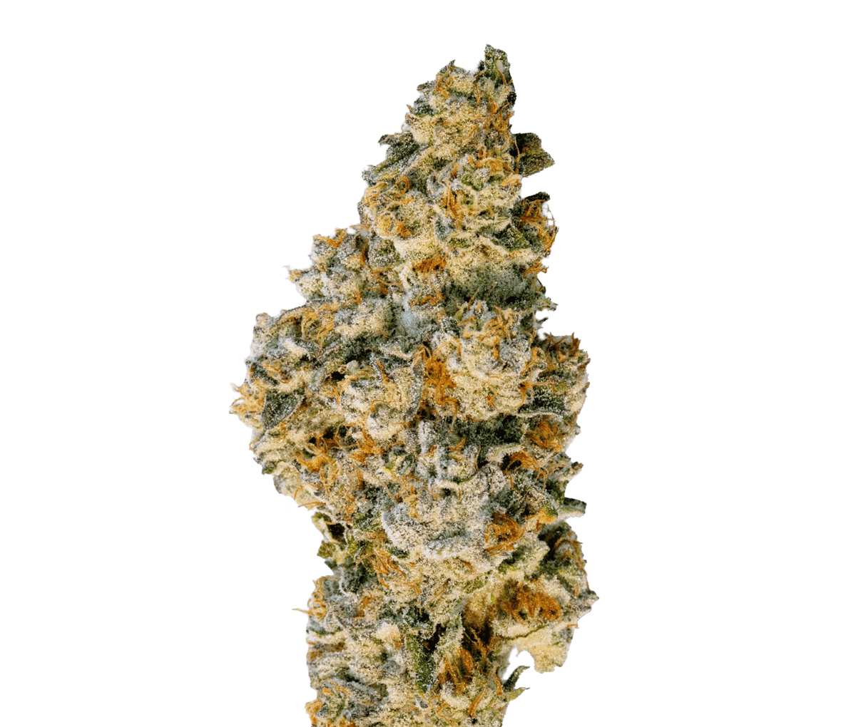 Demecan RF EPIC DROP 30:01 - 98 Aloha White Widow x Trainwreck