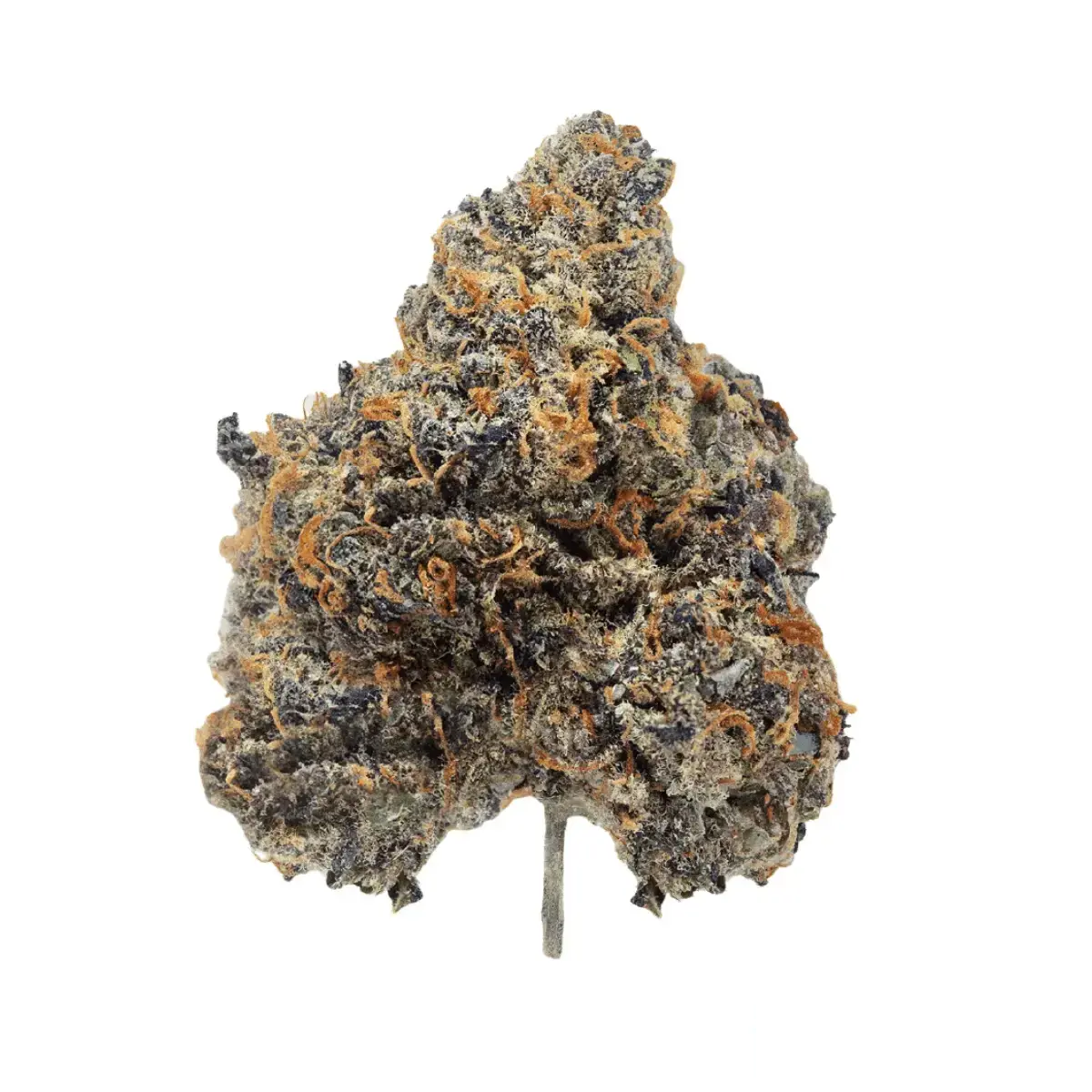 Remexian 27/1 PGF GLN - Gelonade 