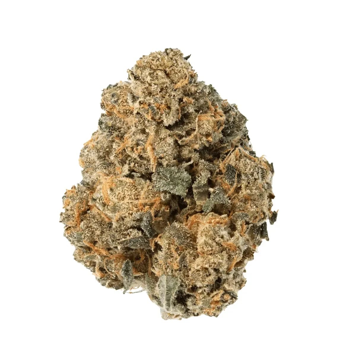 Medical Saints 24/1 ACB Acai Berry Medical Saints 24/1 ACB Acai Berry