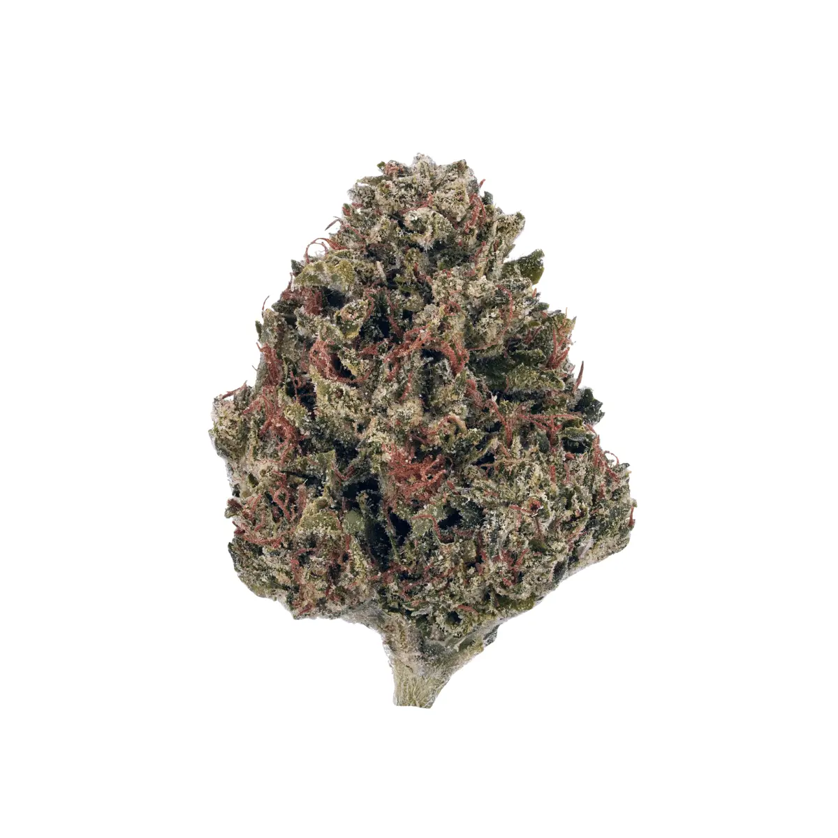 NICE Kush Mints 31/1