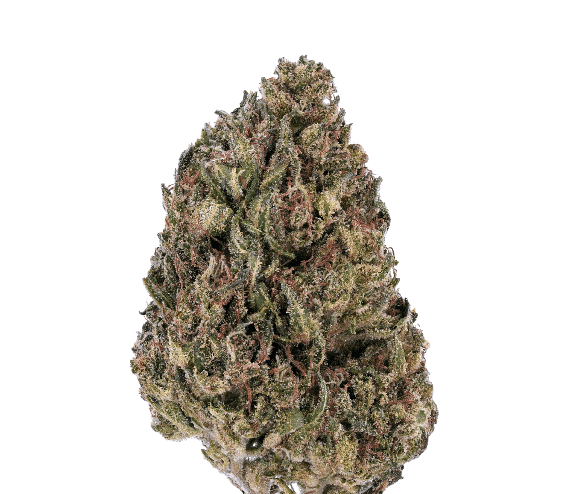 20/1 The BC Green PG - Pink Grapes