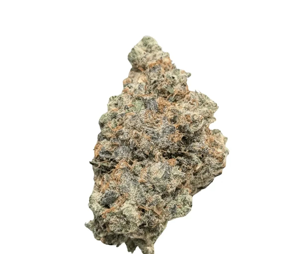 Bathera 33/1 PP Polar Pop Bathera 33/1 PP Polar Pop