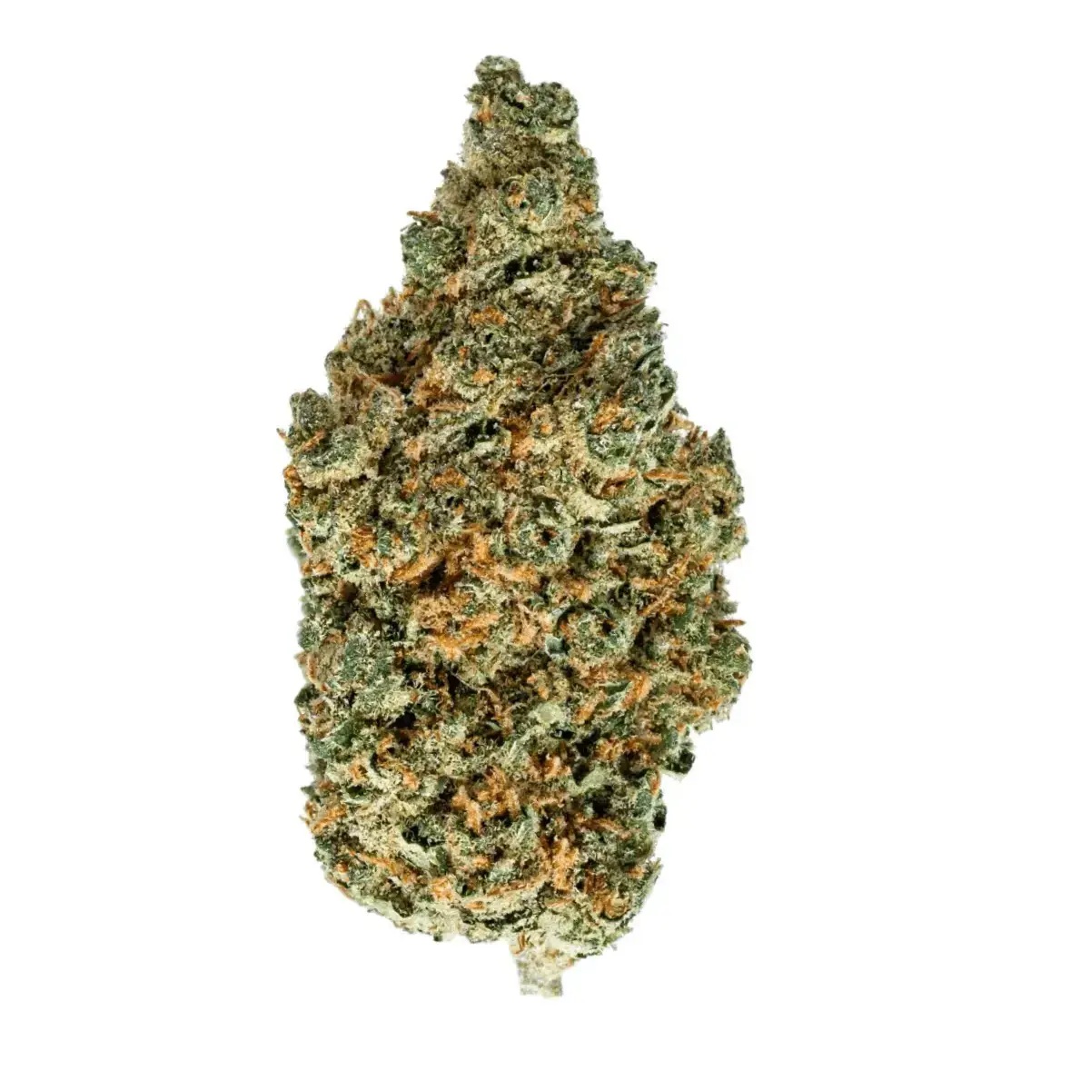 Slouu 22/1 EG CA - Electric Grapefruit