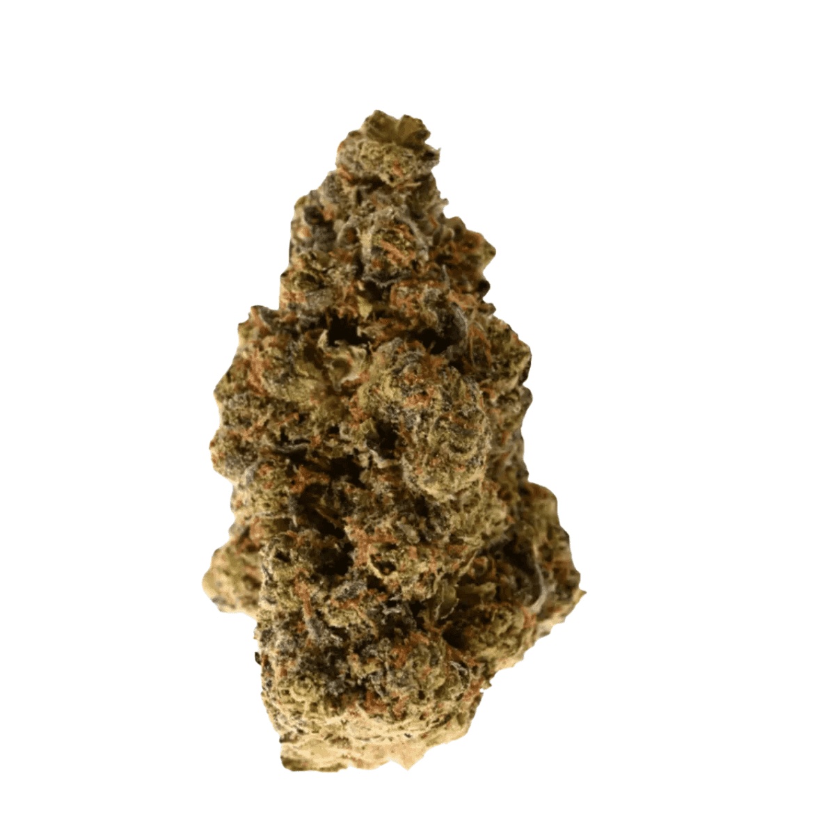 NICE 28/1 GSC Girl Scout Cookies NICE 28/1 GSC Girl Scout Cookies