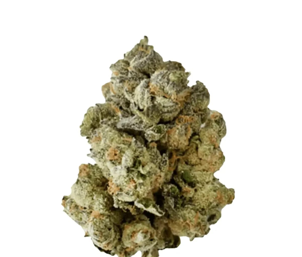 BC Green 25/1 HGH