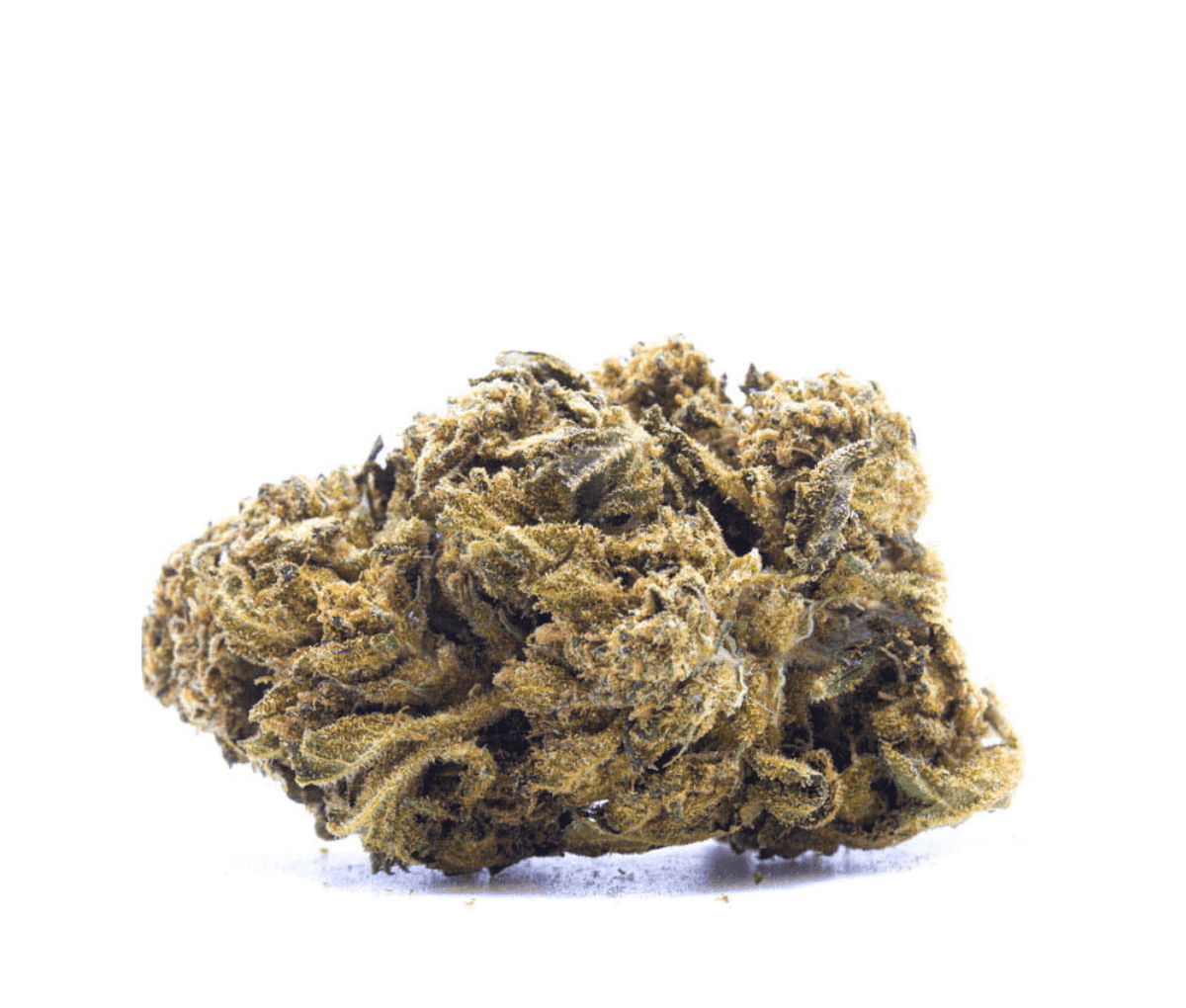 Aurora 22/1 - Dela Haze