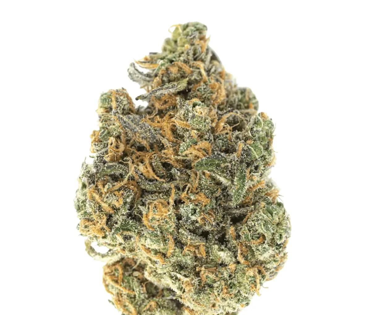 NICE 28/1 MS - Munson