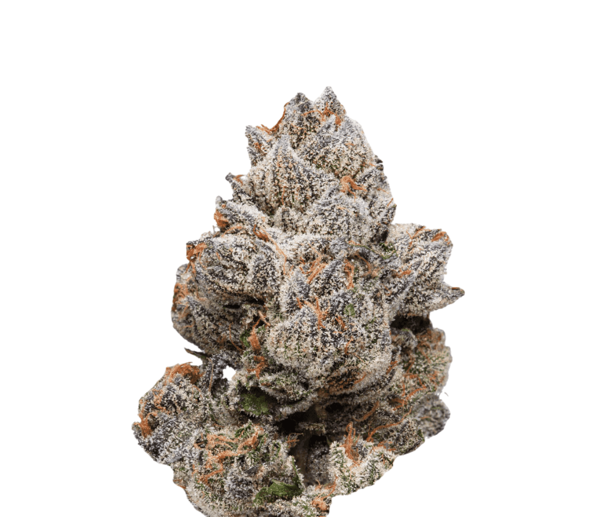 BC Green 17/1 A&B - Apples & Bananas