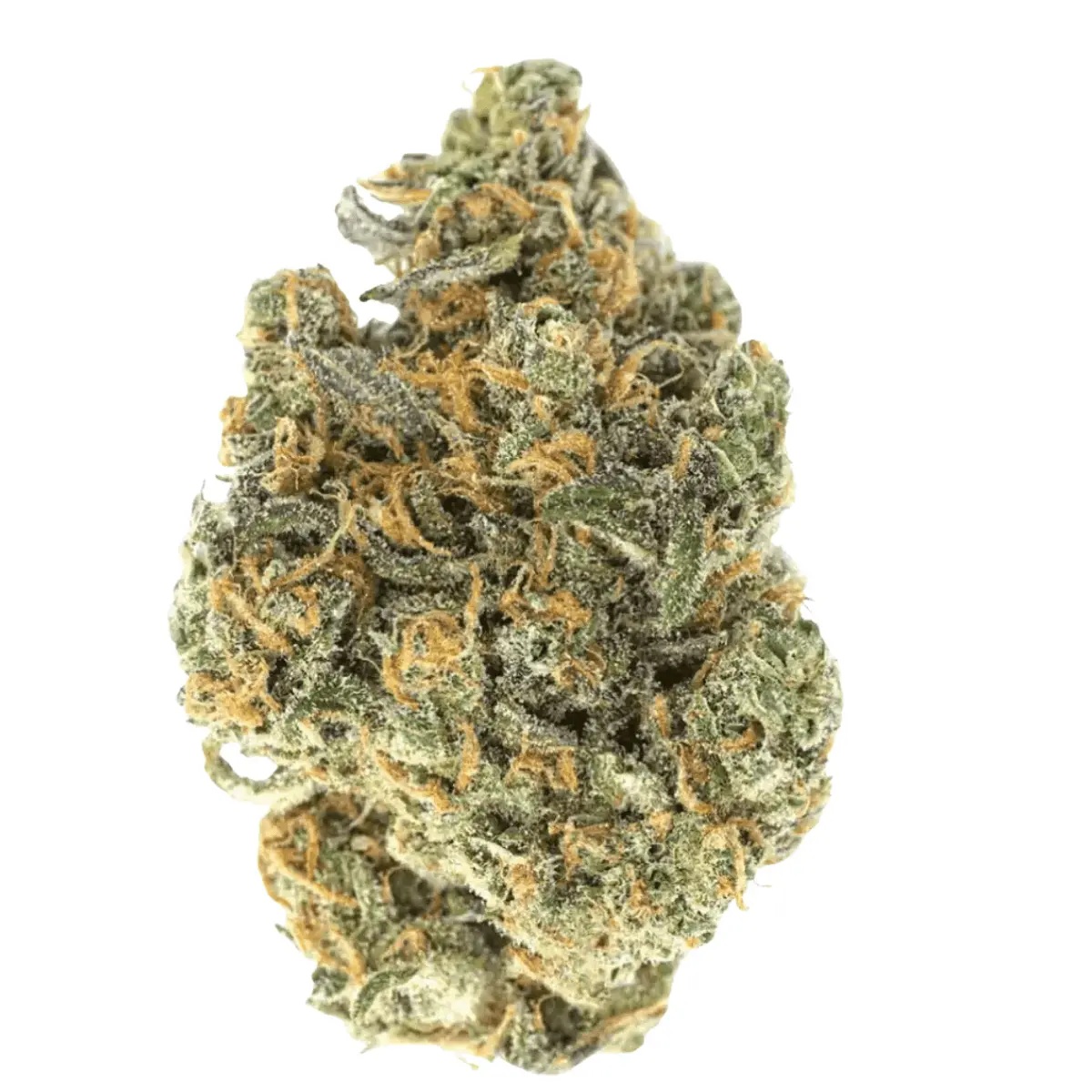 NICE 28/1 MS - Munson NICE 28/1 MS - Munson