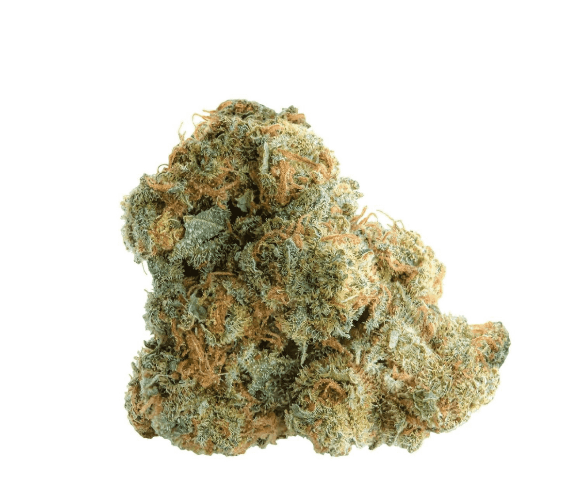 27/1 Amici AS - Atomic Sour Grapefruit