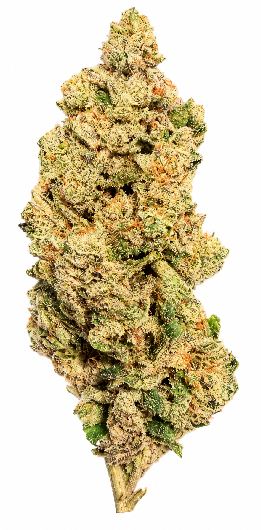 High Quadz FV 31/1 - Flawless Victory