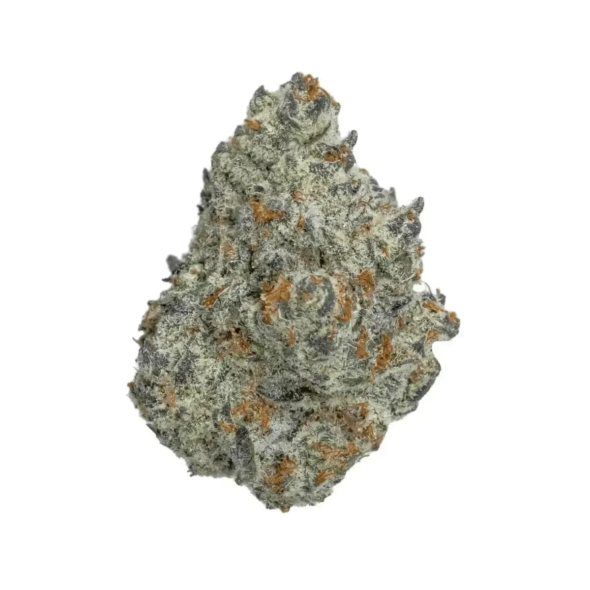 Medical Saints 18/1 ICC - Ice Cream Cake