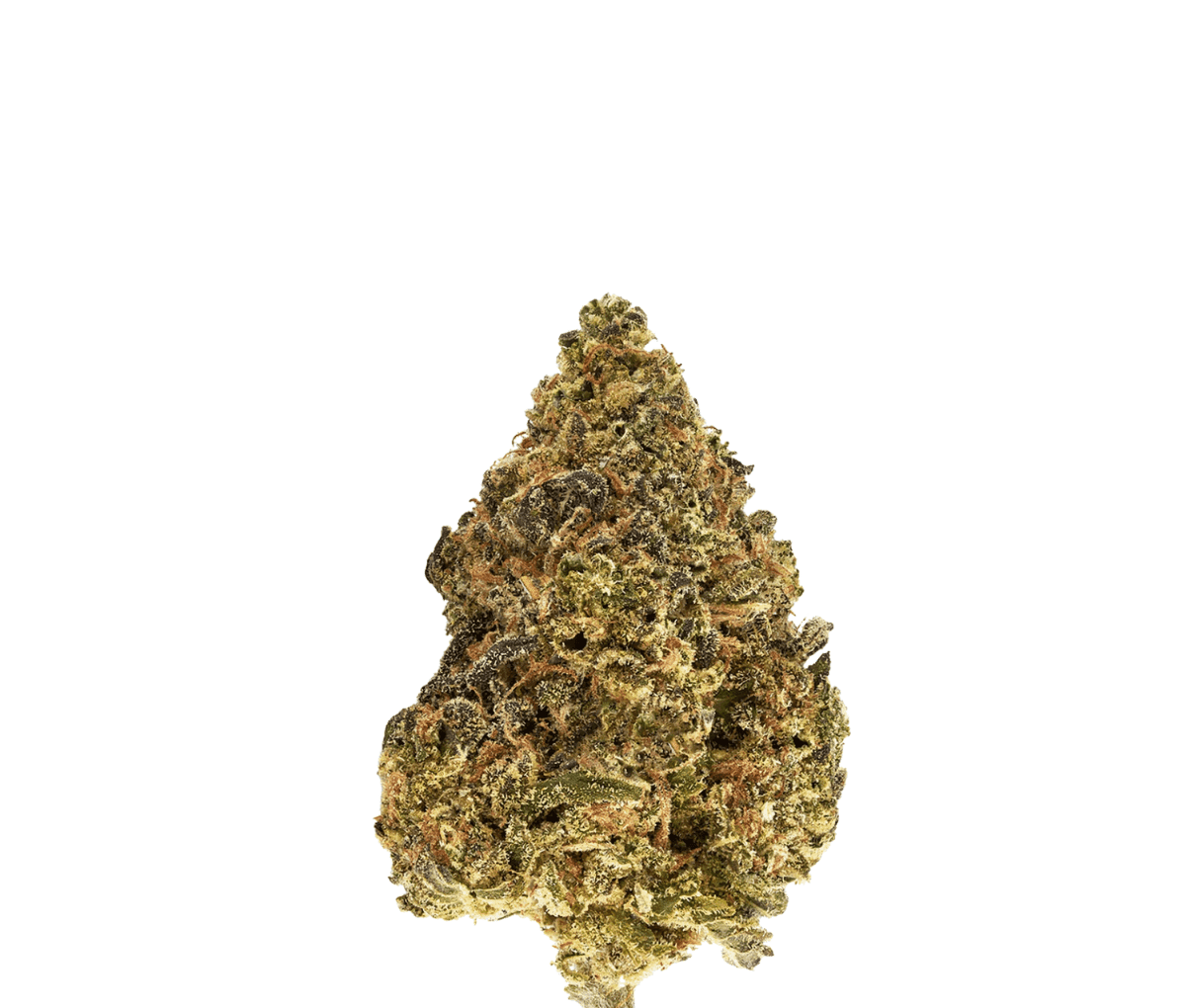 TRUU GT 27/01 - Skull Cap TRUU GT 27/01 - Skull Cap