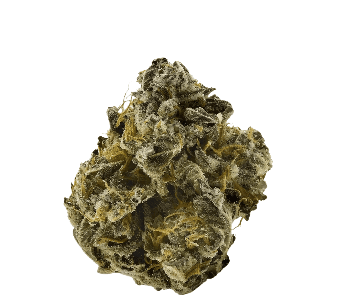 Enua 22/1 BNM [Banana Mints]