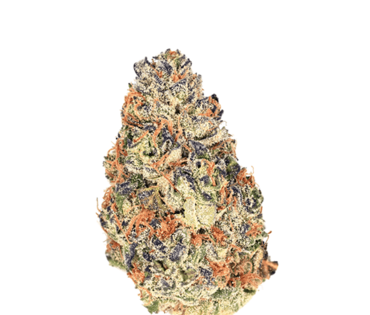 Demecan Craft Rocket 28:01 - PAVÉ X GASTRO POP Demecan Craft Rocket 28:01 - PAVÉ X GASTRO POP