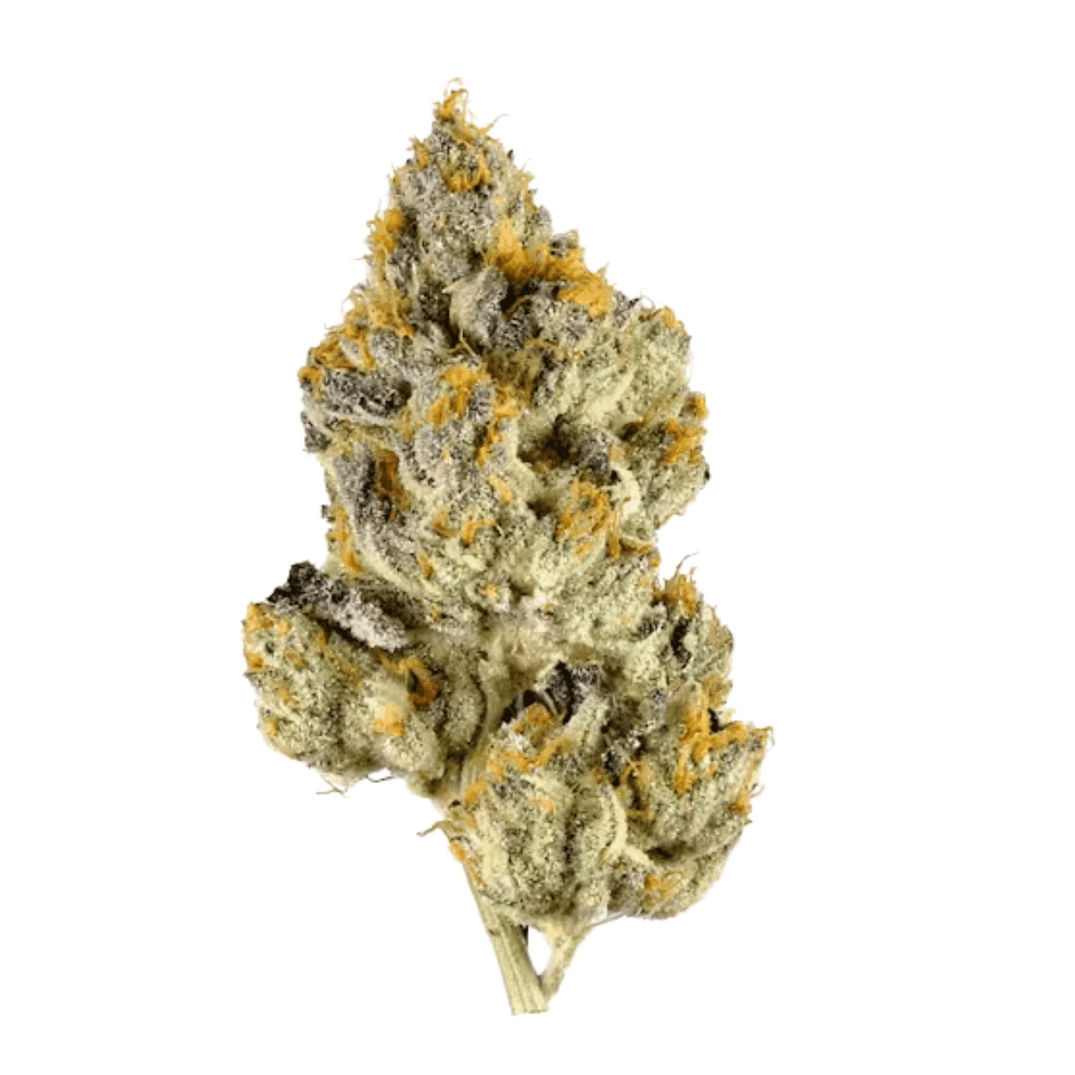 Materia FFC 25/1 - Frosted Fruit Cake Materia FFC 25/1 - Frosted Fruit Cake
