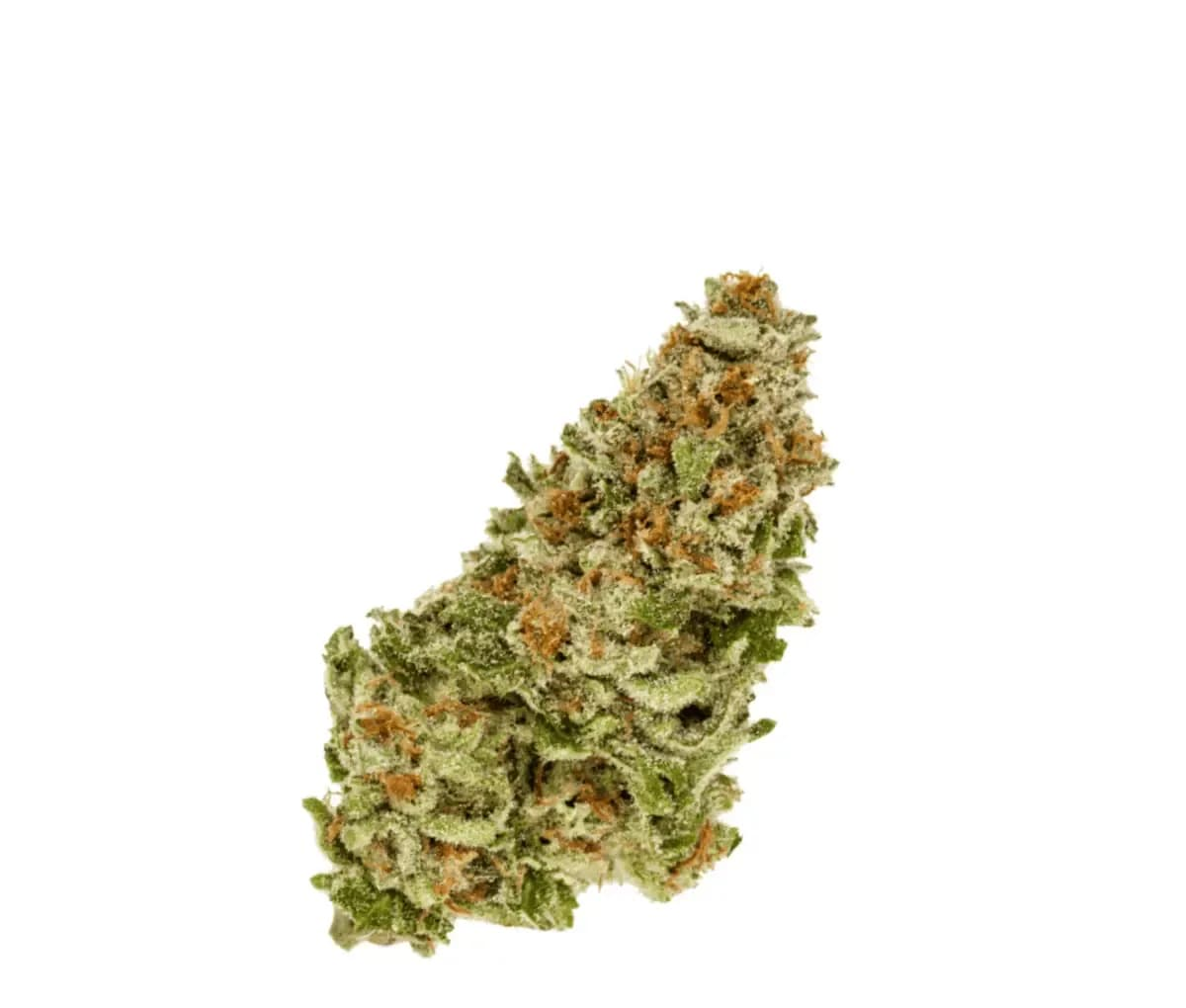 Demecan Core Sunshine Pure 25:01 - Tropicanna Cookies Demecan Core Sunshine Pure 25:01 - Tropicanna Cookies