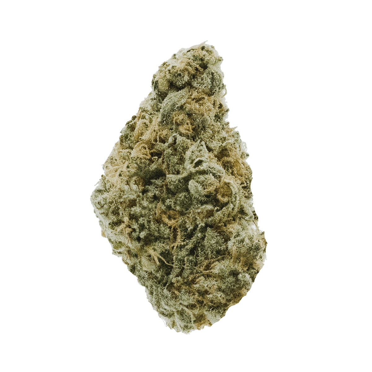 J.R. Strain MM 31/1 - Mandarin Mac