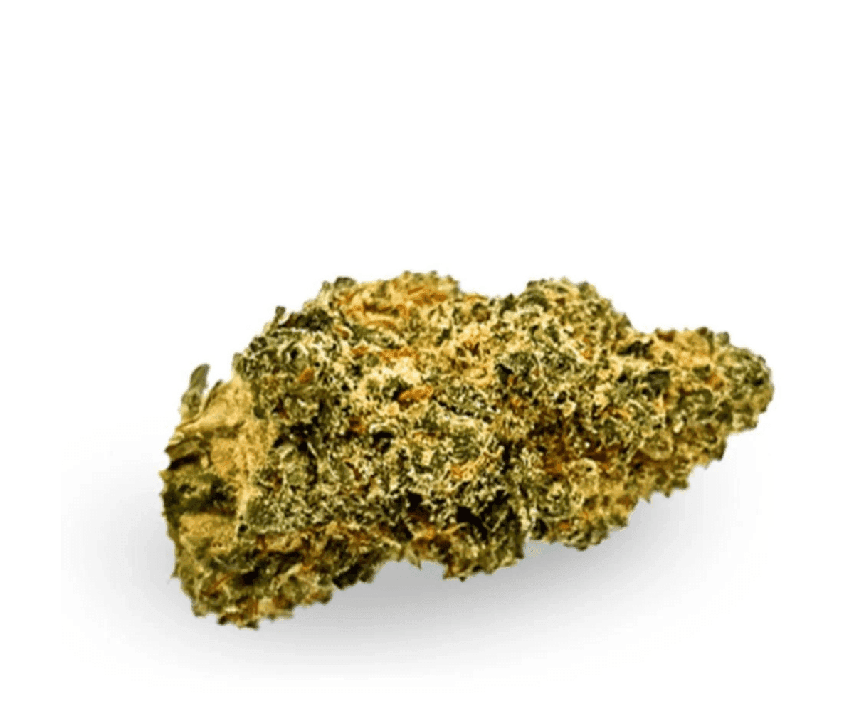 Social Choice 18/1 FLX MTS - Manantiales Social Choice 18/1 FLX MTS - Manantiales