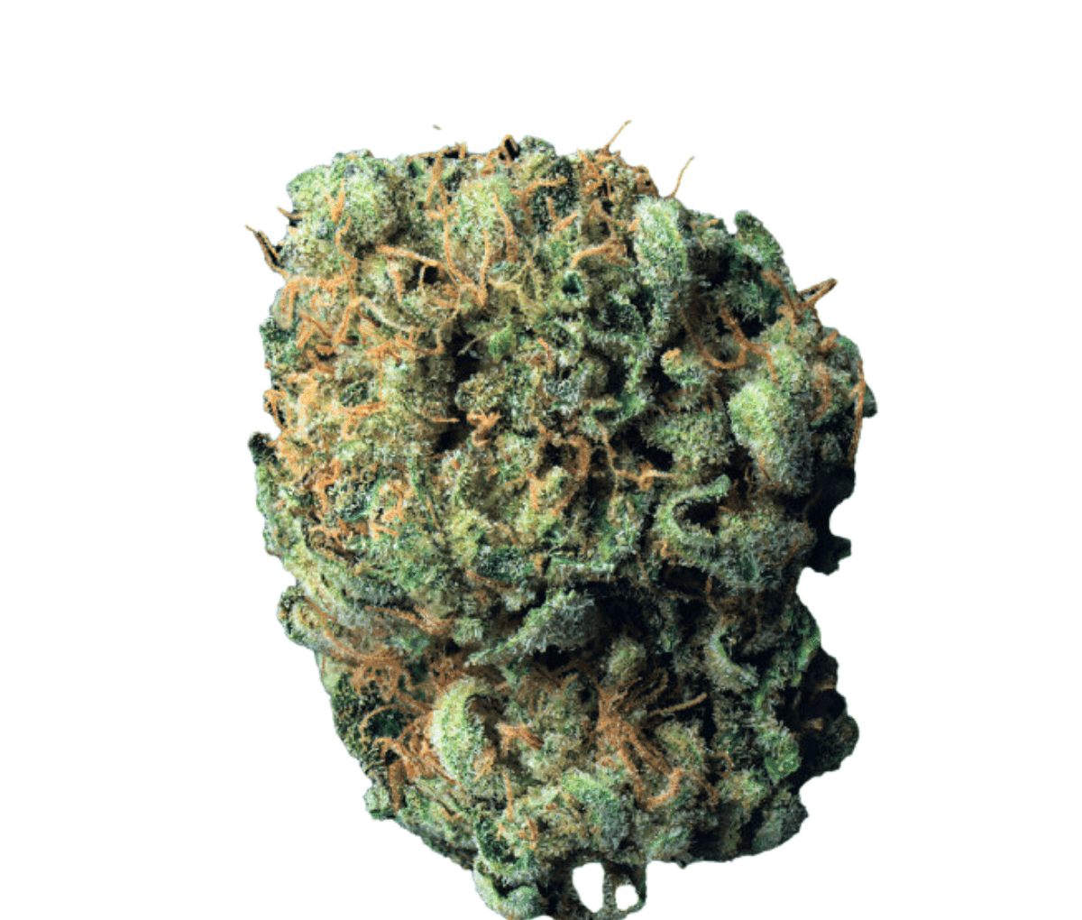 Cookies MD 22/1 Cannabisblüten Substanz [Medellin]