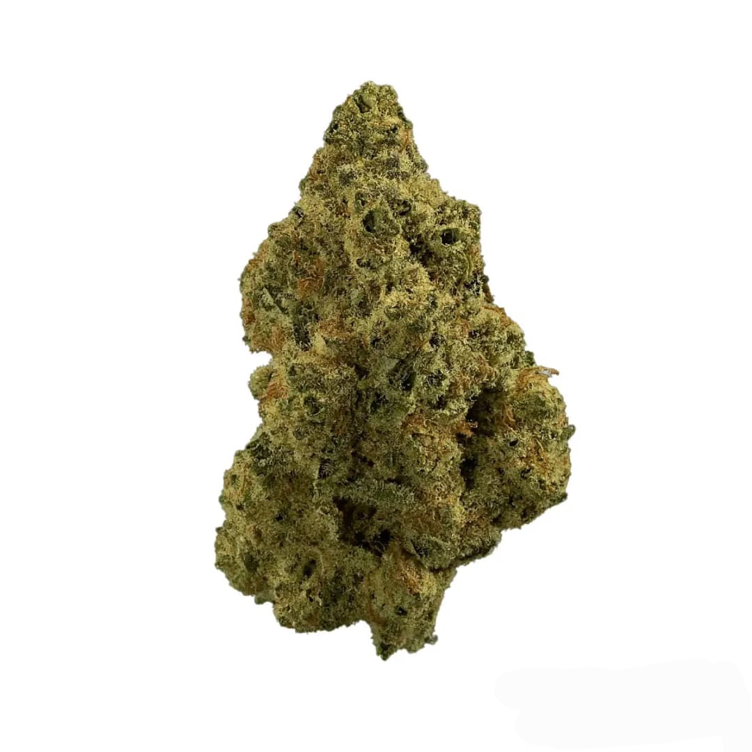 madrecan 18/1 GDY MINIS - Granddaddy OG madrecan 18/1 GDY MINIS - Granddaddy OG