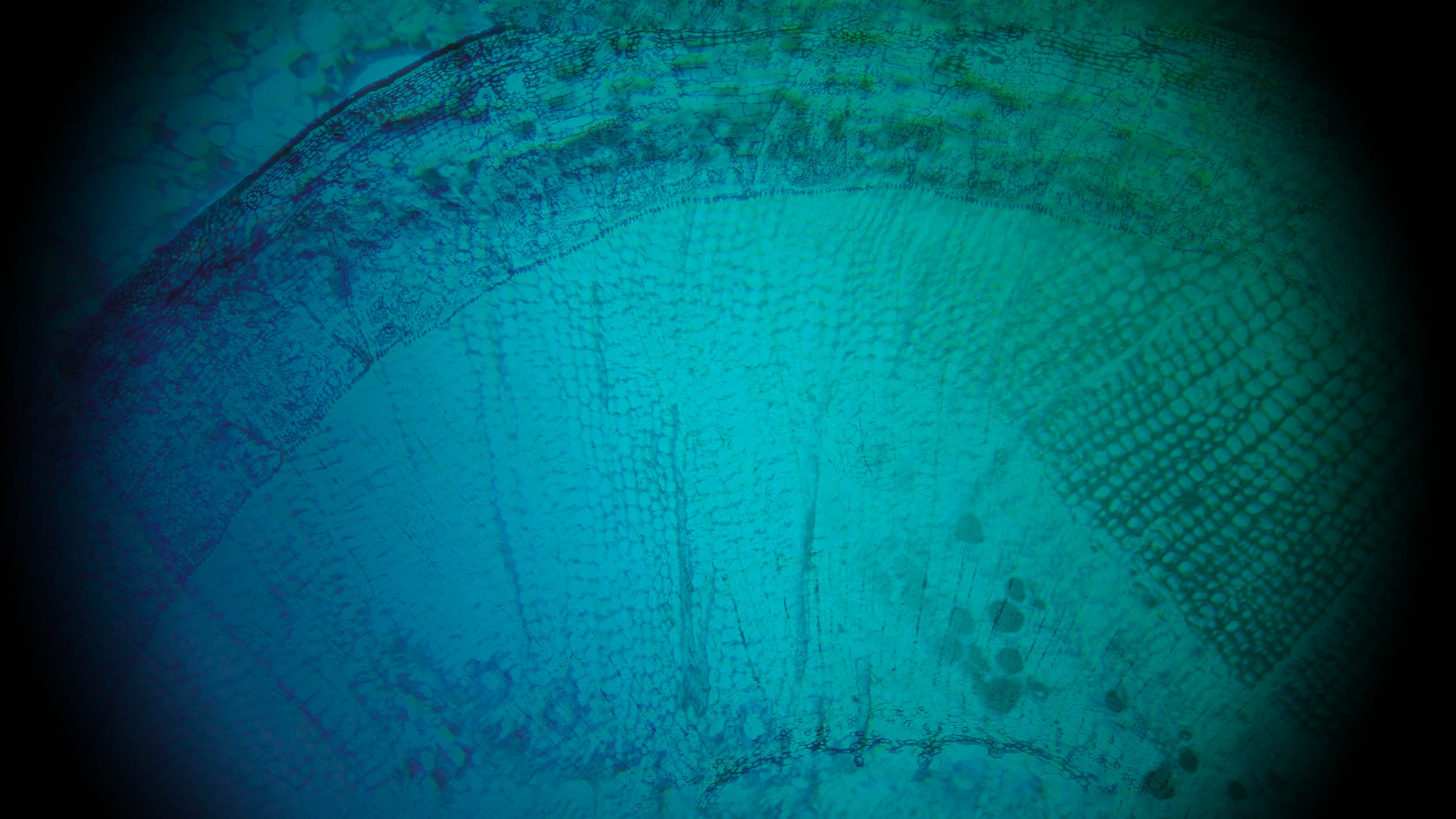 KeyVisual_comp_JUB Bild mit Bezug zu 'KeyVisual_comp_JUB'