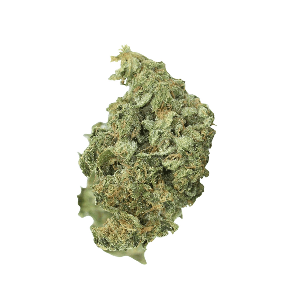 Fast Leaf 33/1 SMH - Sour Mintz Haze