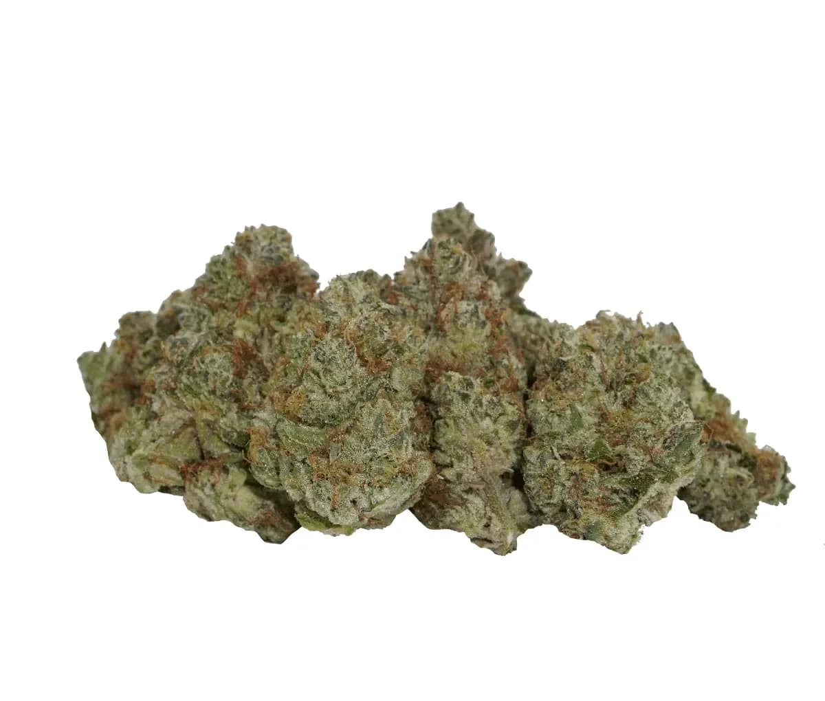 avaay Signature 34/1 OGC - Ocean Grown Cookies avaay Signature 34/1 OGC - Ocean Grown Cookies