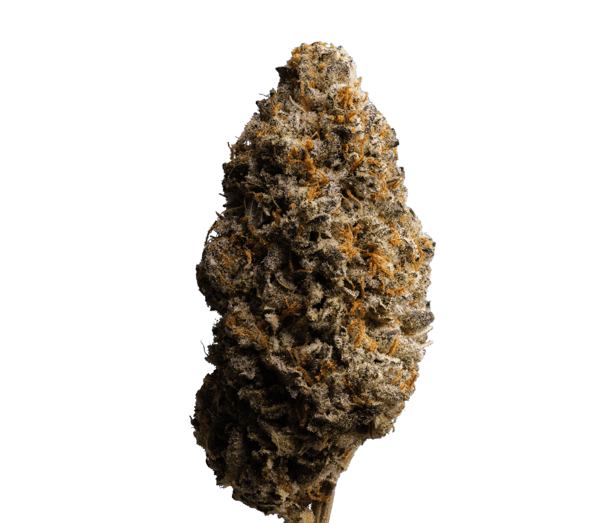 enua 25/1 UDC CA - Upside Down Cake enua 25/1 UDC CA - Upside Down Cake