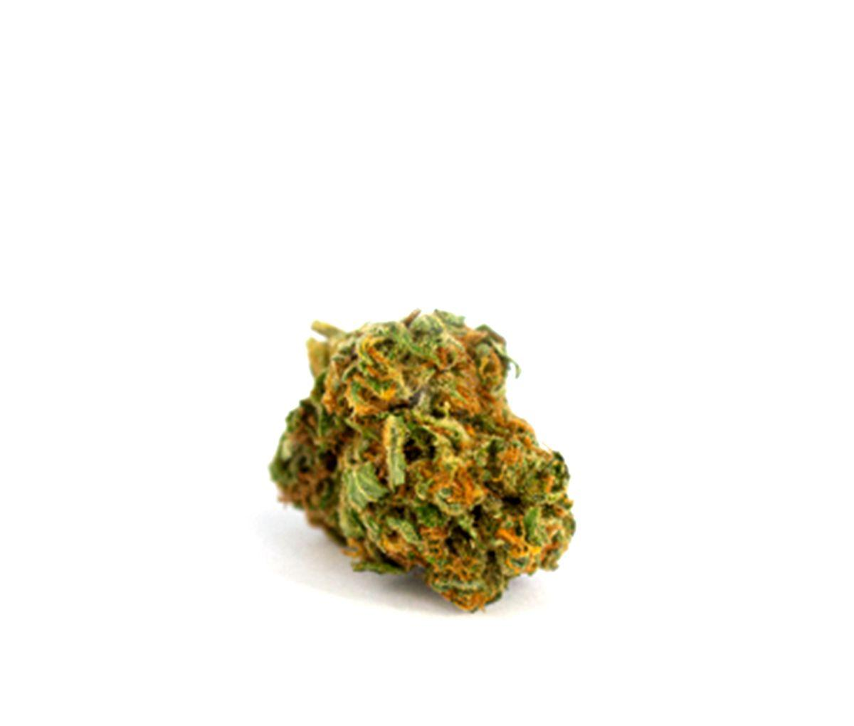 AMP 18/1 - White Widow AMP 18/1 - White Widow