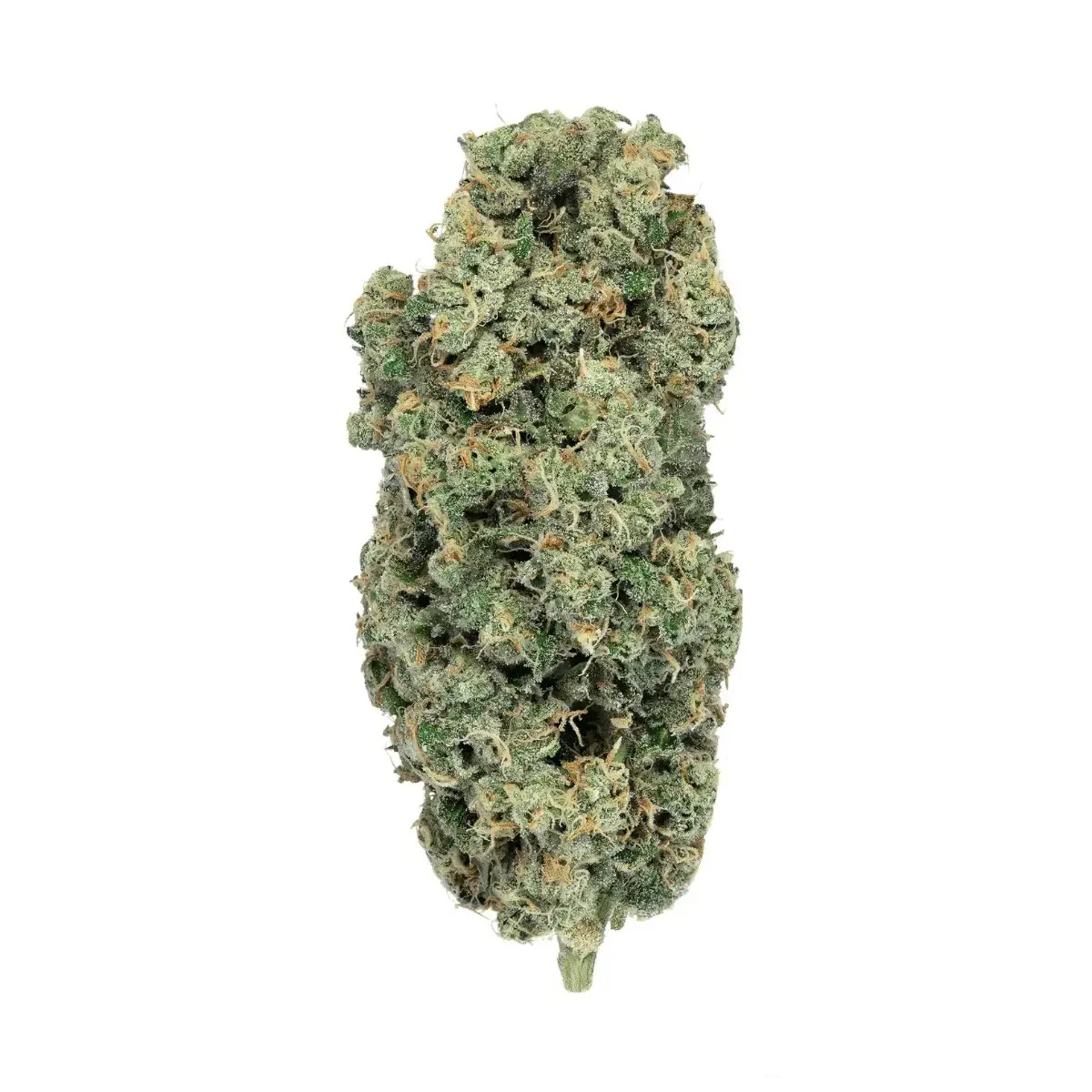 Soma OG 32/1 PF - Spritzer