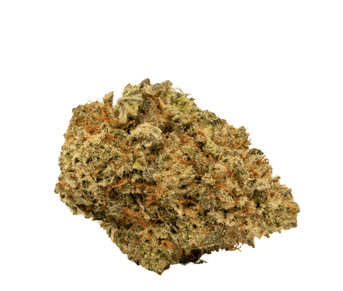 Mediprocan 26/1 Sour OG Cheese 