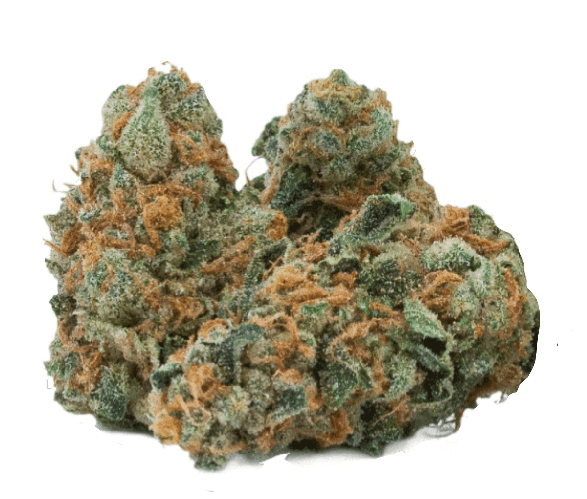 GMO Cookies [Peace Naturals 33/1 GC] 
